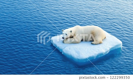 Arctic Polar Bear on Ice Floe 122299350