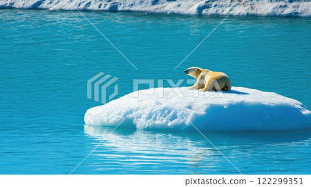 Polar Bear in Vulnerable Ice Environment 122299351