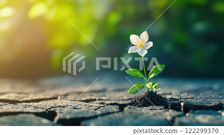 Hope Blossoming Through Challenging Times 122299370