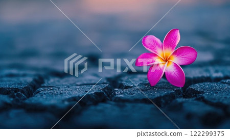 Flower of hope in barren land 122299375