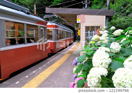 Image of the Hydrangea Train stopped at Tonosawa Station on the Hakone Tozan Railway in Kanto, Hakone-machi, Kanagawa Prefecture (1) Image of the Hydrangea Train stopped at Tonosawa Station on the Hakone Tozan Railway in Kanto, Hakone-machi, Kanagawa Prefecture (1) 122299766