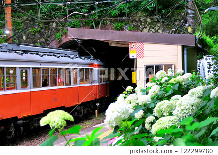 關東/箱根登山電車/繡球花列車通過塔之澤月台的照片/神奈川縣箱根町 (5) 122299780