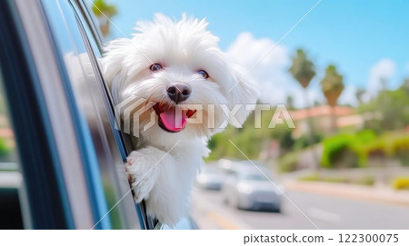 Dog with Ears Flapping in the Wind During Road Trip Dog with Ears Flapping in the Wind During Road Trip 122300075