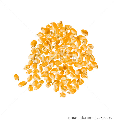 Dry corn kernels are scattered on the surface. The grains are yellow. Watercolor illustration. Isolated from the background. Agricultural crop, animal feed and seeds for sowing corn. Making popcorn.  122300259