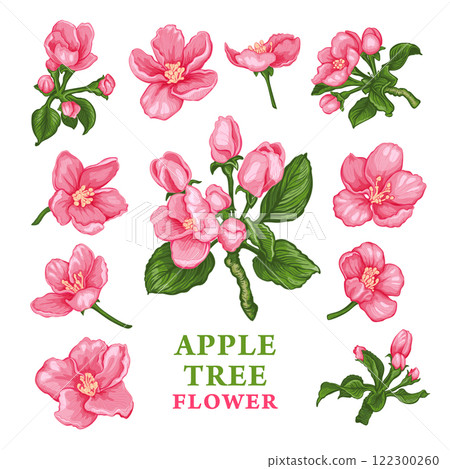 Apple Tree flower sketch 2 Apple Tree flower sketch 2 122300260