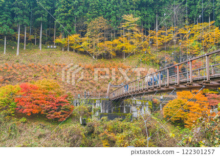 The Wind Suspension Bridge and autumn leaves at Oihira Park in Toyota City (Aichi Prefecture) 122301257