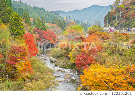 Mountains covered in autumn leaves as seen from the Suspension Bridge at Oihira Park in Toyota City (Aichi Prefecture) Mountains covered in autumn leaves as seen from the Suspension Bridge at Oihira Park in Toyota City (Aichi Prefecture) 122301261