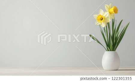 Fresh daffodils in white vase, brightening up minimalist space with golden yellow blooms and green leaves 122301355