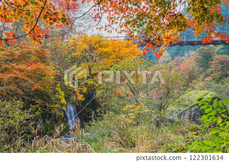 The Wind Suspension Bridge and autumn leaves at Oihira Park in Toyota City (Aichi Prefecture) 122301634
