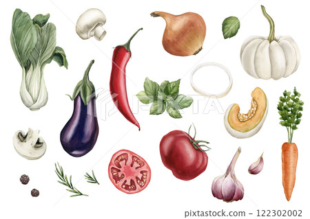 Fresh vegetables clipart set. White pumpkin, Chinese cabbage, eggplant, tomato, onion, carrot, garlic, basil. Watercolor hand painted isolated illustration for food package, kitchen textile, cookbook 122302002