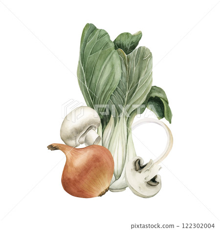 Fresh vegetables. Arrangement with Chinese cabbage, onion and champignon mushrooms . Watercolor hand painted isolated food illustration cookbook, kitchen table textile, delicious fabric, menu, card Fresh vegetables. Arrangement with Chinese cabbage, onion and champignon mushrooms . Watercolor hand painted isolated food illustration cookbook, kitchen table textile, delicious fabric, menu, card 122302004