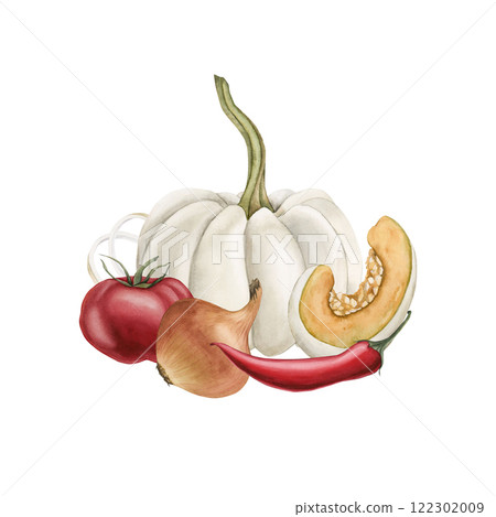 Fresh vegetables. White pumpkin, tomato, onion and red chili pepper arrangement. Watercolor hand painted isolated food illustration cookbook, recipe book, kitchen table textile, delicious fabric, menu 122302009