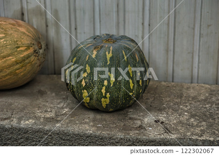 A large green pumpkin with yellow speckles sits on a rough concrete surface against a metal panel background. A large green pumpkin with yellow speckles sits on a rough concrete surface against a metal panel background. 122302067