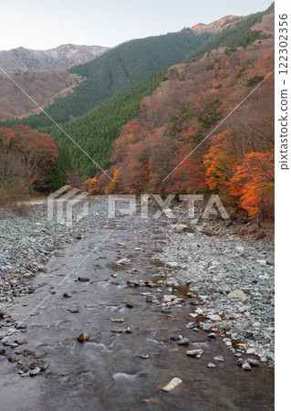 Enjoy the autumn scenery in a mountain valley, with red and yellow forests and snow-capped mountains. 122302356