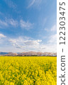 Landscape with rape field 122303475