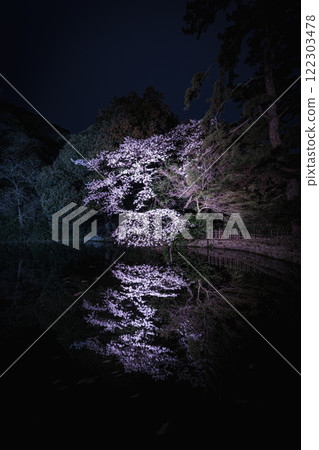 Cherry blossoms at night Cherry blossoms at night 122303478