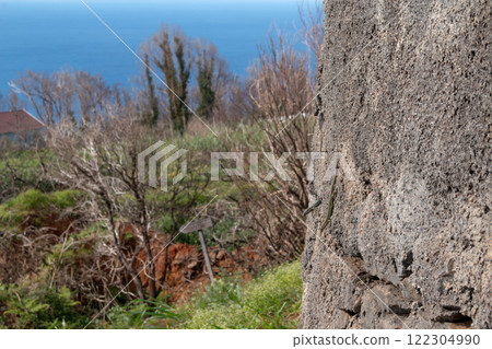 Weathered wall and blurry nature, Madeira, Portugal Weathered wall and blurry nature, Madeira, Portugal 122304990