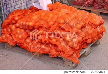 Sacks of Onion Pallet 122305071