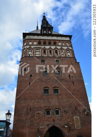 The Moscow Zoo is one of the oldest and largest zoos in Russia, offering a fascinating experience for visitors of all ages. 122305933