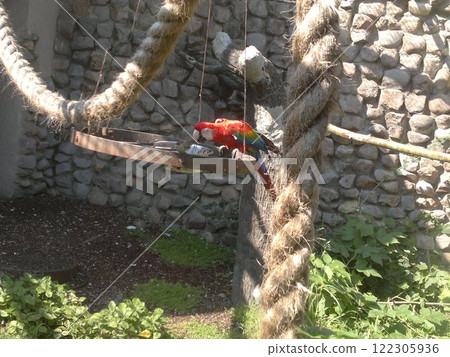 The Moscow Zoo is one of the oldest and largest zoos in Russia, offering a fascinating experience for visitors of all ages. 122305936