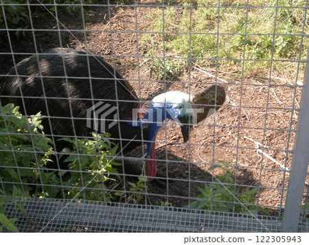 The Moscow Zoo is one of the oldest and largest zoos in Russia, offering a fascinating experience for visitors of all ages. The Moscow Zoo is one of the oldest and largest zoos in Russia, offering a fascinating experience for visitors of all ages. 122305943