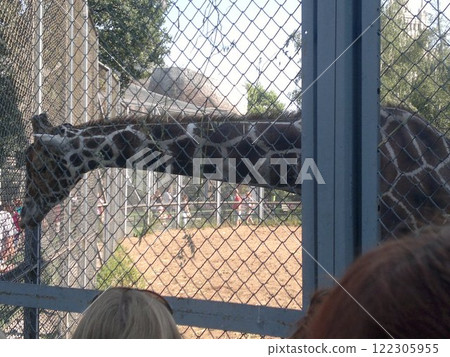 The Moscow Zoo is one of the oldest and largest zoos in Russia, offering a fascinating experience for visitors of all ages. The Moscow Zoo is one of the oldest and largest zoos in Russia, offering a fascinating experience for visitors of all ages. 122305955