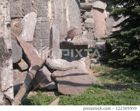 The Moscow Zoo is one of the oldest and largest zoos in Russia, offering a fascinating experience for visitors of all ages. 122305959