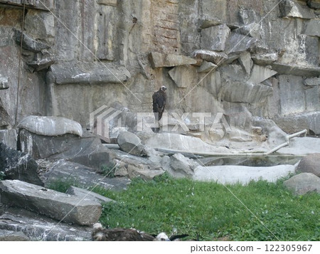 The Moscow Zoo is one of the oldest and largest zoos in Russia, offering a fascinating experience for visitors of all ages. The Moscow Zoo is one of the oldest and largest zoos in Russia, offering a fascinating experience for visitors of all ages. 122305967