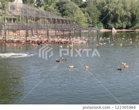 The Moscow Zoo is one of the oldest and largest zoos in Russia, offering a fascinating experience for visitors of all ages. The Moscow Zoo is one of the oldest and largest zoos in Russia, offering a fascinating experience for visitors of all ages. 122305968