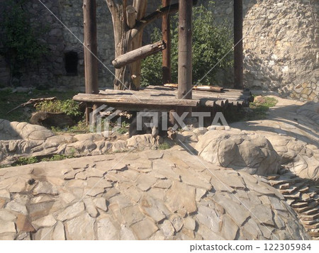 The Moscow Zoo is one of the oldest and largest zoos in Russia, offering a fascinating experience for visitors of all ages. 122305984