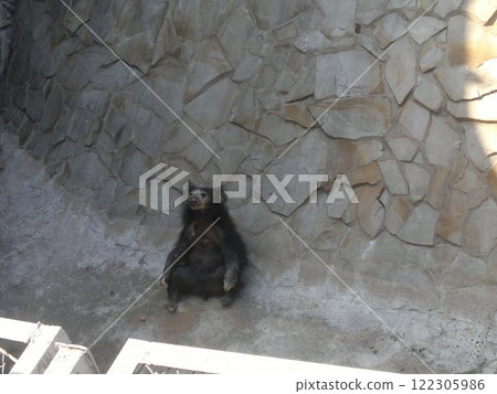 The Moscow Zoo is one of the oldest and largest zoos in Russia, offering a fascinating experience for visitors of all ages. The Moscow Zoo is one of the oldest and largest zoos in Russia, offering a fascinating experience for visitors of all ages. 122305986