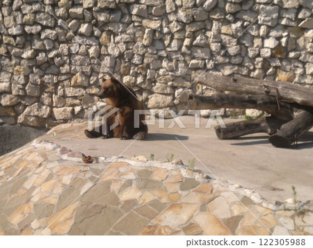 The Moscow Zoo is one of the oldest and largest zoos in Russia, offering a fascinating experience for visitors of all ages. The Moscow Zoo is one of the oldest and largest zoos in Russia, offering a fascinating experience for visitors of all ages. 122305988