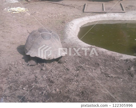 The Moscow Zoo is one of the oldest and largest zoos in Russia, offering a fascinating experience for visitors of all ages. The Moscow Zoo is one of the oldest and largest zoos in Russia, offering a fascinating experience for visitors of all ages. 122305996