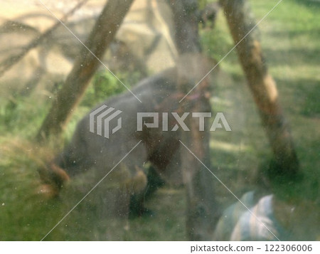 The Moscow Zoo is one of the oldest and largest zoos in Russia, offering a fascinating experience for visitors of all ages. The Moscow Zoo is one of the oldest and largest zoos in Russia, offering a fascinating experience for visitors of all ages. 122306006