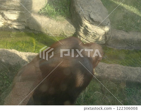The Moscow Zoo is one of the oldest and largest zoos in Russia, offering a fascinating experience for visitors of all ages. The Moscow Zoo is one of the oldest and largest zoos in Russia, offering a fascinating experience for visitors of all ages. 122306008