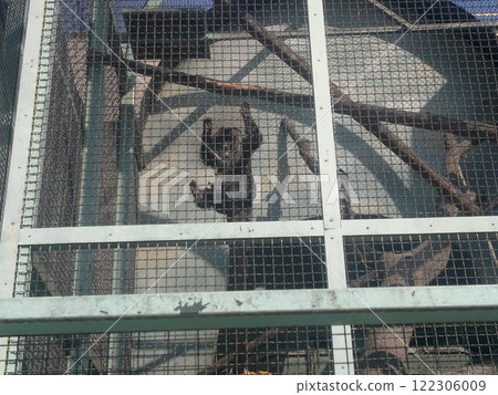 The Moscow Zoo is one of the oldest and largest zoos in Russia, offering a fascinating experience for visitors of all ages. 122306009