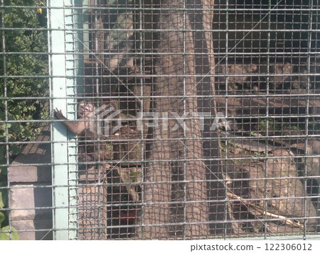 The Moscow Zoo is one of the oldest and largest zoos in Russia, offering a fascinating experience for visitors of all ages. 122306012