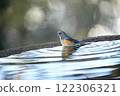 A Blue-and-White Flycatcher Perched on the Water's Edge 122306321