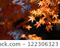 Momiji who changed leaves 122306323