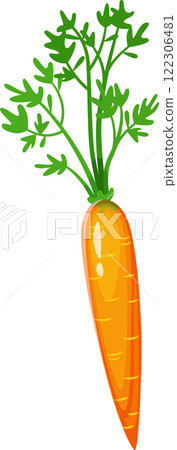 Illustration of a bright orange carrot with lush green leaves, showcasing its fresh and organic appearance. Perfect for themes related to healthy eating and agriculture 122306481
