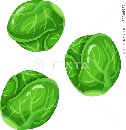 Three vibrant green brussels sprouts showcasing intricate leaf patterns. The illustration highlights the fresh and healthy appearance of these nutritious vegetables Three vibrant green brussels sprouts showcasing intricate leaf patterns. The illustration highlights the fresh and healthy appearance of these nutritious vegetables 122306482