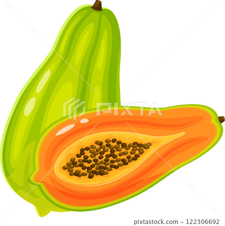 Whole and halved papaya fruit displaying a green exterior contrasted with a vibrant orange interior filled with small black seeds Whole and halved papaya fruit displaying a green exterior contrasted with a vibrant orange interior filled with small black seeds 122306692