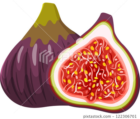 Cartoon illustration featuring a whole fresh fig alongside a halved fig, revealing its vibrant red pulp filled with tiny seeds, all set against a crisp white background 122306701