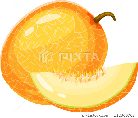 Ripe melon with characteristic rind and a slice displaying its juicy pulp, small seeds, and refreshing appeal, perfect for summer desserts and healthy snacks Ripe melon with characteristic rind and a slice displaying its juicy pulp, small seeds, and refreshing appeal, perfect for summer desserts and healthy snacks 122306702