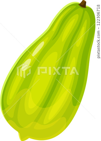 Single, whole, unripe papaya fruit with green peel and stem, isolated on a white background, showcasing its natural appearance and freshness Single, whole, unripe papaya fruit with green peel and stem, isolated on a white background, showcasing its natural appearance and freshness 122306718