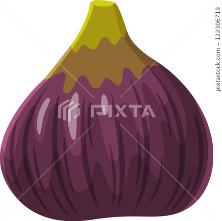 Cartoon illustration of a single ripe fig fruit with a green stem, isolated on a white background, showcasing its vibrant purple skin and unique texture Cartoon illustration of a single ripe fig fruit with a green stem, isolated on a white background, showcasing its vibrant purple skin and unique texture 122306719