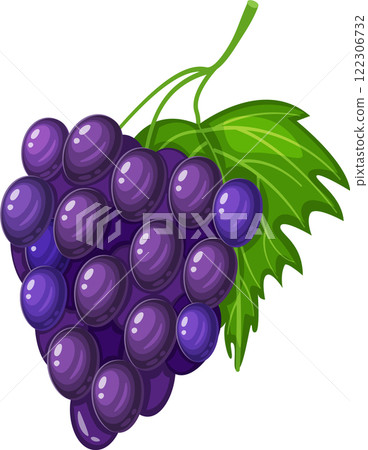 Vivid illustration of a cluster of purple grapes attached to a green leaf. The grapes are depicted with a glossy texture, emphasizing their freshness and ripeness 122306732