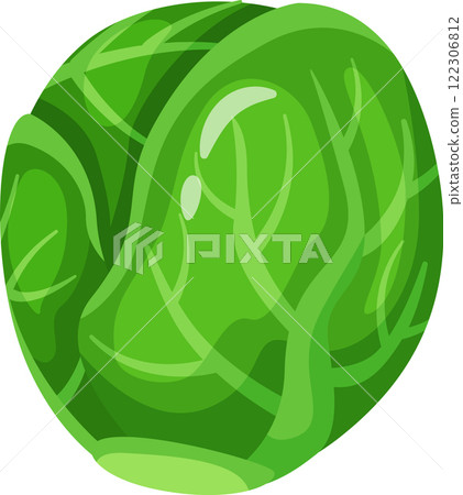 Vibrant green leaves form a compact sphere, showcasing the fresh and healthy appeal of a brussels sprout, ideal for promoting healthy eating and vegetarian lifestyles 122306812