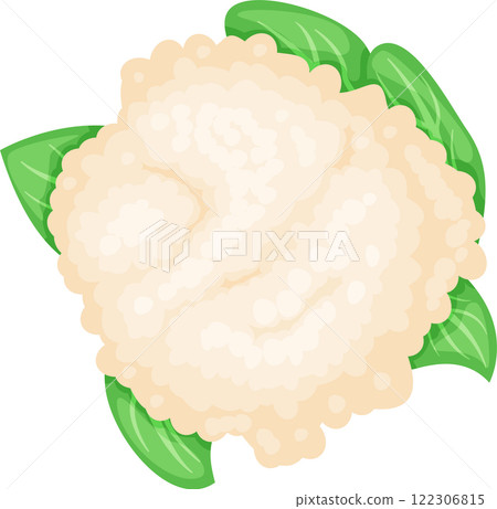 Illustration of a fresh cauliflower head surrounded by vibrant green leaves, showcasing its natural texture and organic appeal. Perfect for topics on healthy eating and vegetarian cuisine Illustration of a fresh cauliflower head surrounded by vibrant green leaves, showcasing its natural texture and organic appeal. Perfect for topics on healthy eating and vegetarian cuisine 122306815