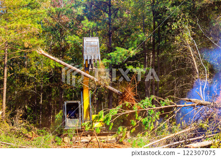 Uprooting of trees during preparation land for construction house Uprooting of trees during preparation land for construction house 122307075
